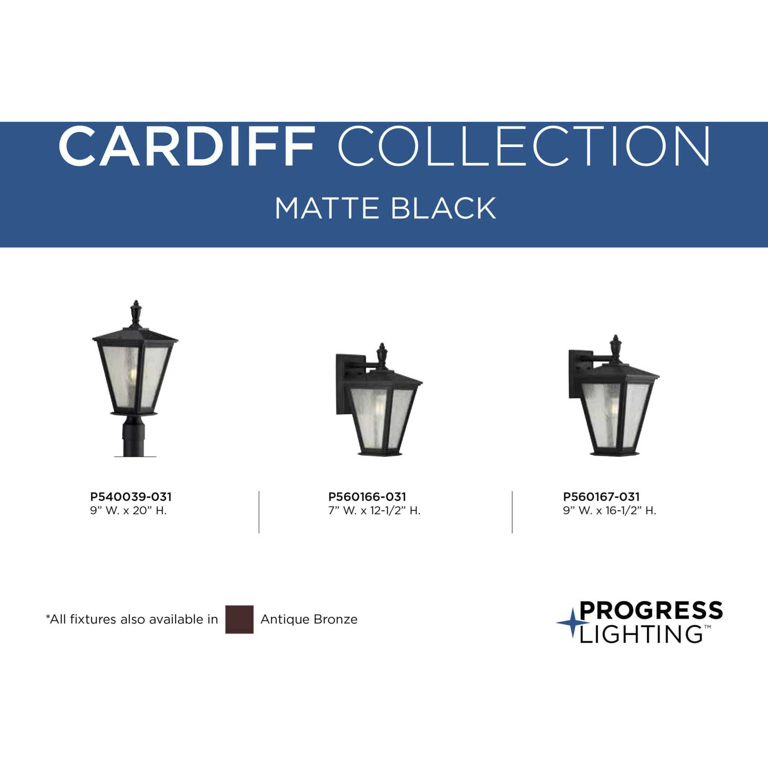 Cardiff 1 Light 13 inch Textured Black Outdoor Wall Lantern, with DURASHIELD, Small